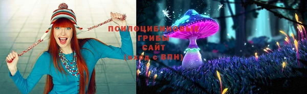 первитин Краснослободск