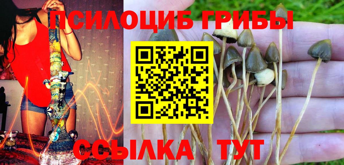 Кострома  Галлюциногенные грибы Magic Shrooms  Вход с VPN 