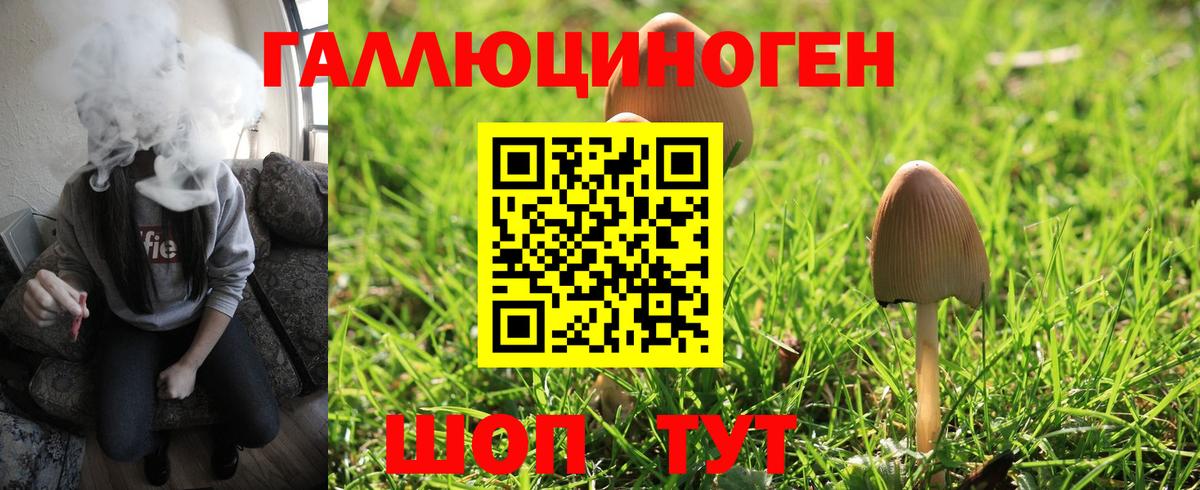 Галлюциногенные грибы прущие грибы Кострома